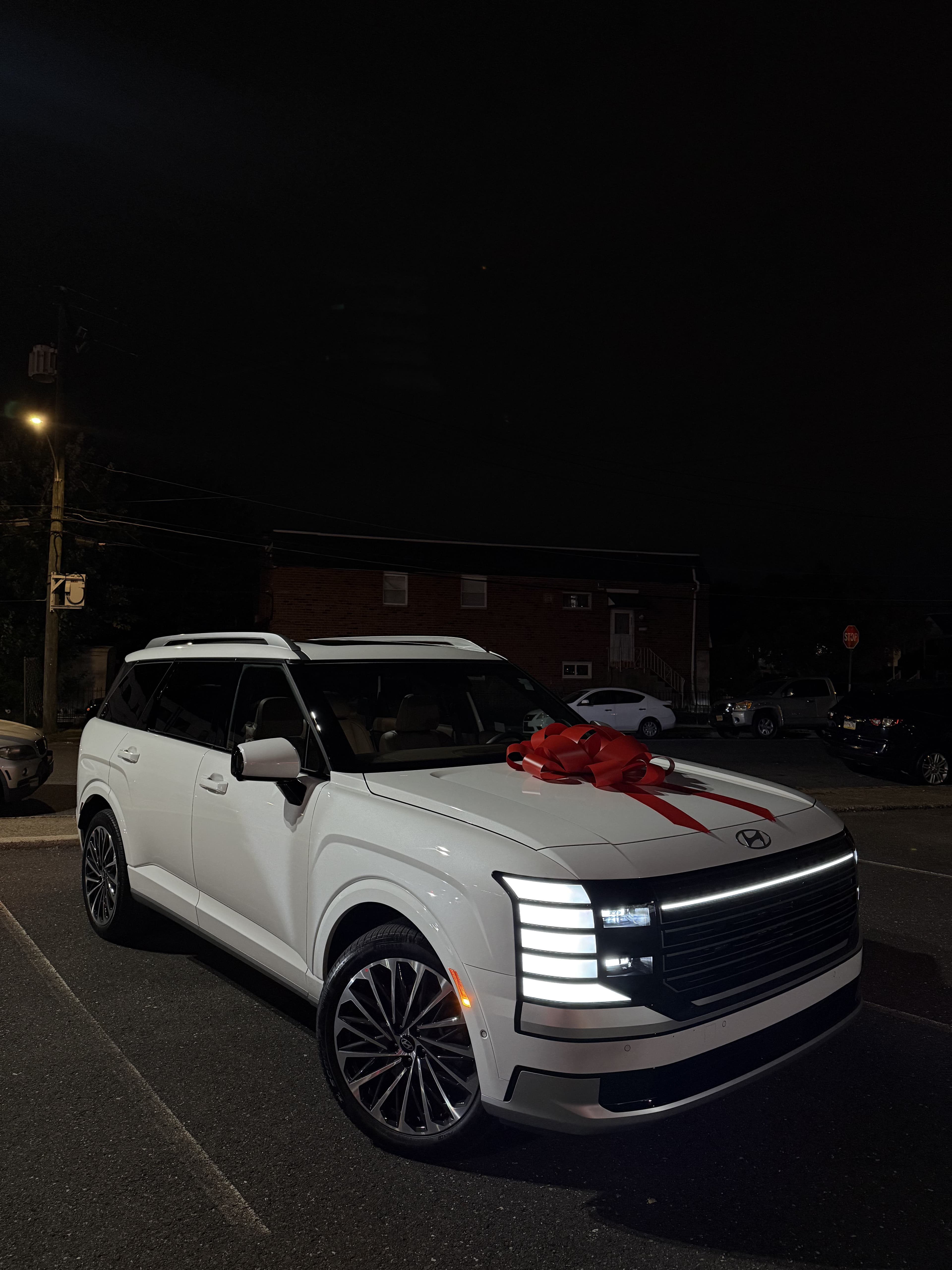 Hyundai Palisade Calligraphy - Thumbnail 5